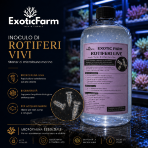 Inoculo rotiferi marini vivi