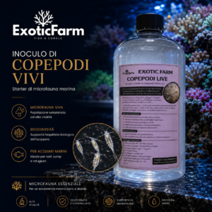 Copepodi marini vivi per arricchire la microfauna dell'acquario. Inoculo ideale per reef, nano reef e refugium, disponibile in diversi formati.