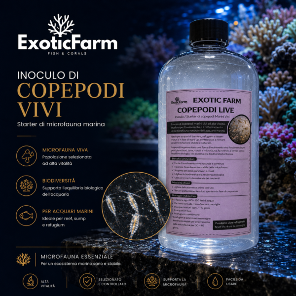 Copepodi marini vivi per arricchire la microfauna dell'acquario. Inoculo ideale per reef, nano reef e refugium, disponibile in diversi formati.