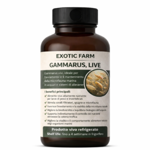 Inoculo gammarus oceanicus - 90 ml