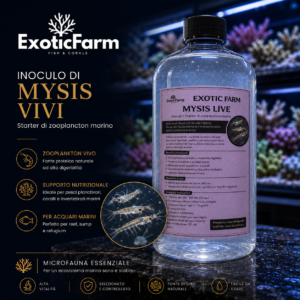 Mysis marino vivo per arricchire la microfauna e offrire alimento naturale ai pesci. Ideale per acquari reef e refugium, in diversi formati.