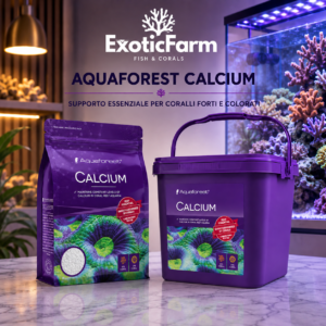 Aquaforest Calcium reintegra il calcio negli acquari reef. Integratore in polvere per coralli SPS, LPS e molli. Disponibile nei formati 850 g e 3,5 kg.