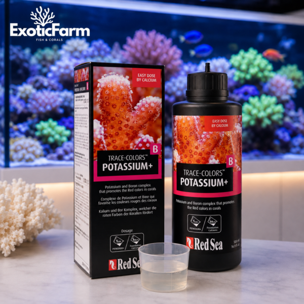 Red Sea Trace Colors B Potassium+ 500 ml integra potassio e boro nei reef, elementi importanti per crescita, tessuti, scheletro e pigmenti dei coralli.