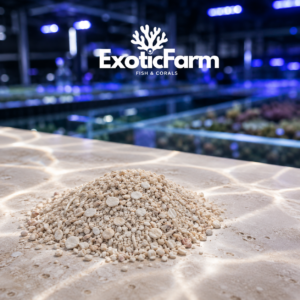 Sabbia aragonite media 1-1,5 mm di alta qualità per acquari marini e reef. Venduta sfusa al kg per scegliere esattamente la quantità necessaria.