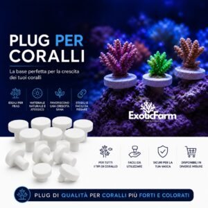Plug per coralli – basette inerti per talee